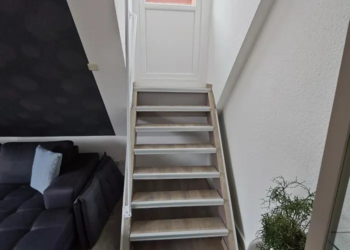 Appartement Freise Telgte
